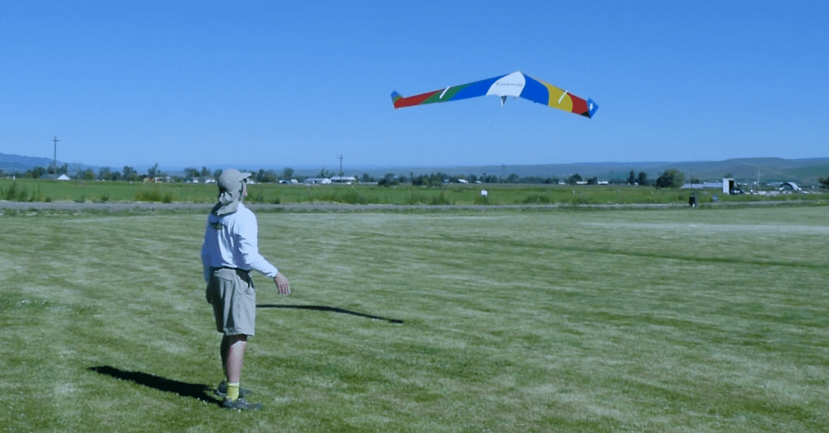 /2023/03/twistdistributionsforsweptwings/ >